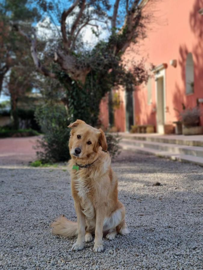 Petra - Country House Monteroni di Lecce Exterior foto